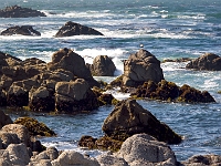 Monterey 4